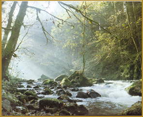 vosges